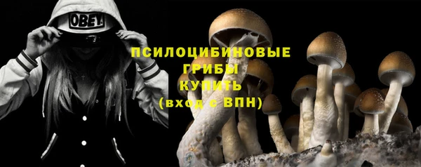кокаин премиум Белокуриха