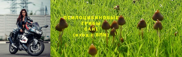 каннабис Беломорск