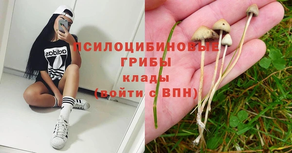 кокаин премиум Белокуриха
